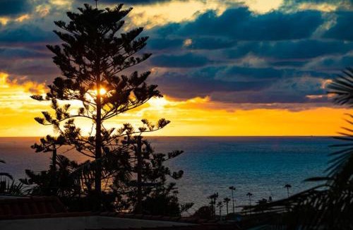 Cardiff-by-the-Sea House | Ocean Views Walk to the Beach with King Suite