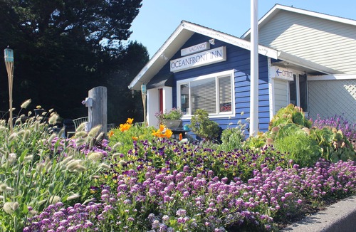 Shelter Cove Apartment | Oceanfront Inn at Shelter Cove