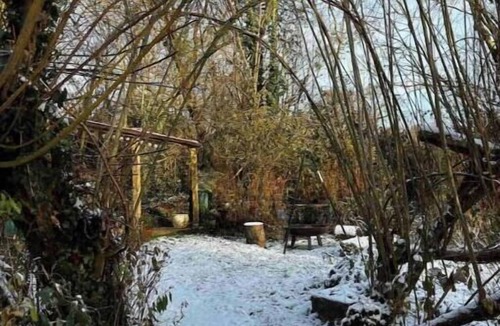 Fivelanes House | Off the Beaten Shack | Romantic Woodland Retreat by Bodmin Moor