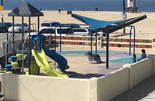 Old Towne Apartment | OLD TOWN CUTE AWESOME BEACH HOUSE BEST LOCATION ICE COLD A/C ! CLOSE TO SAND