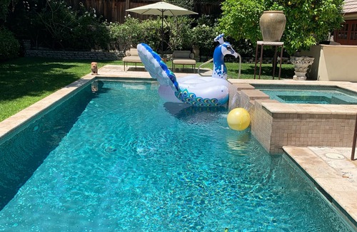 Hollywood House | Paradise in Hollywood , 3 bedrooms , 4 bathrooms, with. pool , private setting!