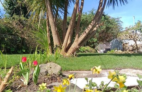 St Ives House | Parc an Creet Cottage with Parking, Garden