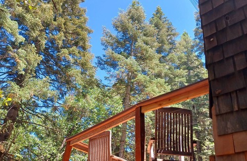 Palomar Mountain Cabin | Peaceful 1920s Cozy Cabin snuggled in 100 ft Pines -Palomar Mt, Bailey Meadows