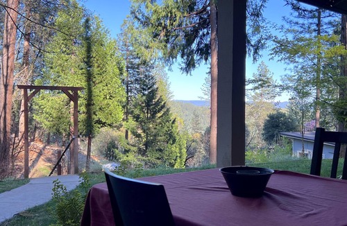 Cedar Ridge House | Peaceful Forest Retreat w/Pool, Game Room, EV Charger. Pet friendly!