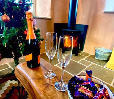 Boscastle Apartment | Polrunny Farm sea view Blueberry Cottage with log burner