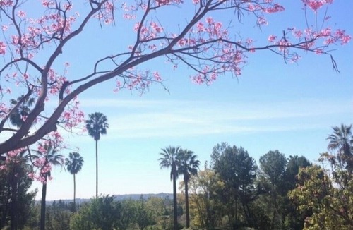 Pasadena House | Private Bungalow @ 5 Stars Resort 1 room 1 bath luxury suite with parking
