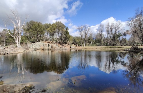 Mariposa Cottage | Private pond, bbq, close to Yosemite.
