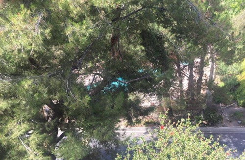 Verdugo Woodlands Resort | Private room ∙ 2 guests