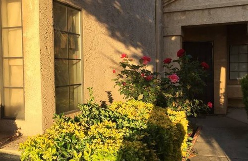 Lodi Resort | Private room ∙ 1 guest