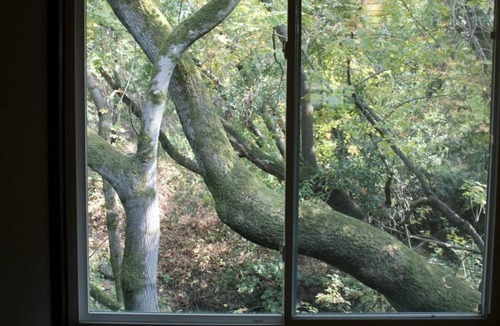 El Sobrante Resort | Private room ∙ 2 guests