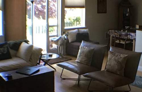 Point Richmond Resort | Private room ∙ 2 guests