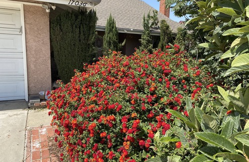 Hacienda Heights House | Queen Suite full bath view minute to school shopping etc .優雅套房。交通方便。