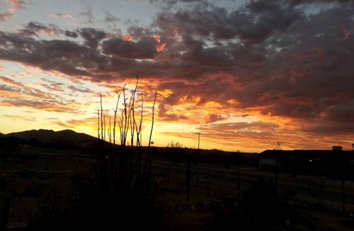 Joshua Tree RV Rental | Recreational vehicle (RV) ∙ 1 bedroom ∙ 2 guests