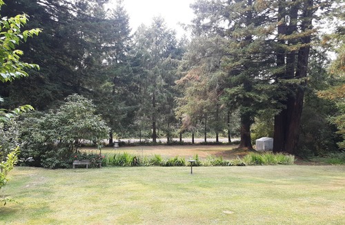 Crescent City House | Redwood Hideout Guest Quarters