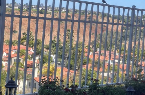 Aliso Viejo House | Relaxing view, a few minutes from beach