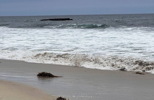 Aliso Viejo House | Relaxing view, a few minutes from beach