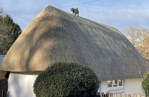 Stuckton Cottage | Romantic cottage in the heart of the New Forest, perfect for walkers.