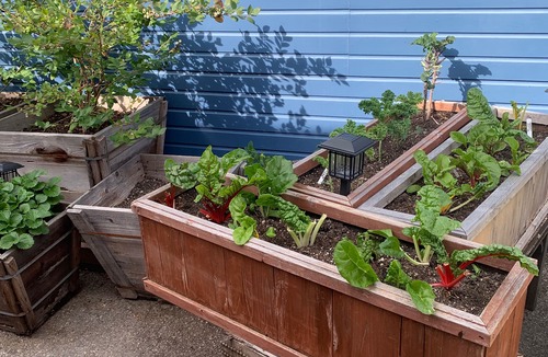 Ocean Park Apartment | Santa Monica Garden Beach Bungalow - Private, and Steps from the Sand