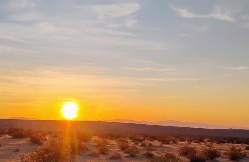 Joshua Tree Other | Simply Camping