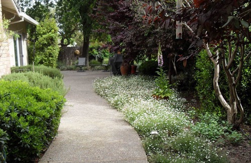 Woodland House | Spend July here. Family friendly, clean, Quiet neighborhood. Work and play here