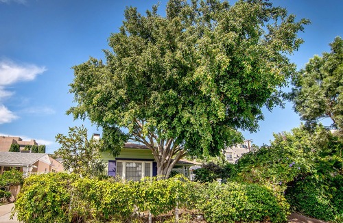 Beverly Grove House | SPRING SALE! Low rates for spring dates! Private Oasis in Middle of LA Action