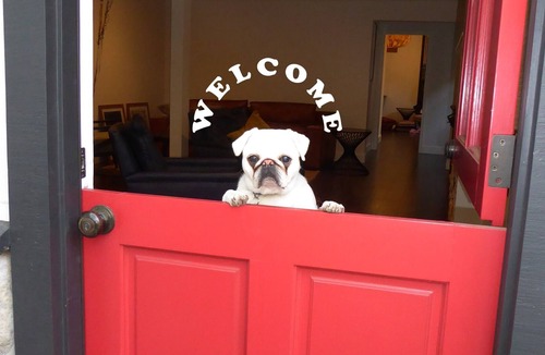 St. Helena House | St. Helena Bungalow Steps from Main Street | Pet Friendly | 30 Day Minimum