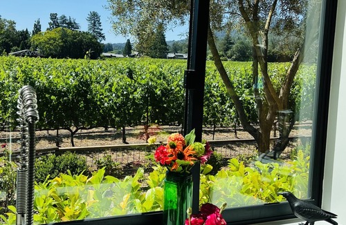 St. Helena House | St Helena luxury estate with 360 vineyard views and best location for walking.