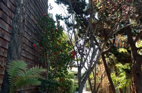 Del Mar House | Stay and play in the Village by the Sea!