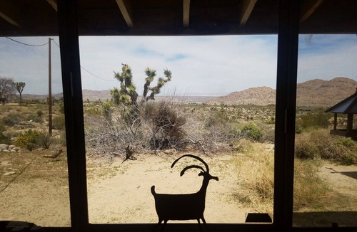 Joshua Tree Highlands House | Stephs Panorama Paradise:7.5 acres of wildlife viewing peace. Minutes from Park
