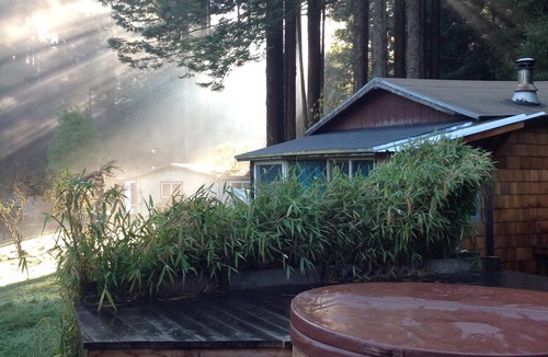 Garfield Cabin | Sweet Little Cabin in the Trees.