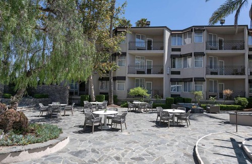 Tree Section Hotel | The Belamar Hotel Manhattan Beach, Tapestry by Hilton