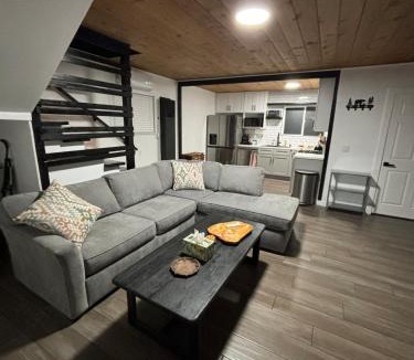 Green Valley Lake Ski Chalet | The Honey Bear Cabin Jacuzzi EV Friendly Renovated