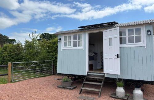 Lydney Ski Chalet | The Meadows Hut