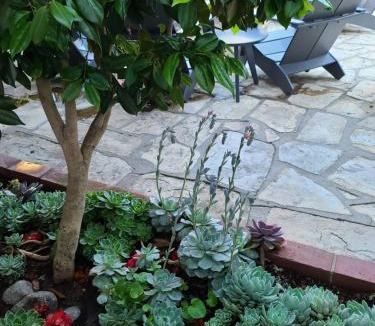 Northwest Carmel Bed & Breakfast | The Vagabond's House Boutique Inn