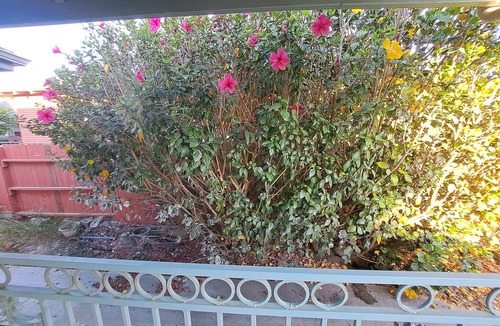 Ventura House | Tranquil 2-bedroom house in Ventura with flower garden close to beach
