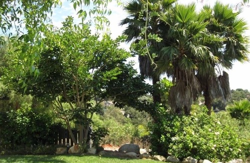Santa Barbara Apartment | Tropical Getaway w/Patio Entrance #1