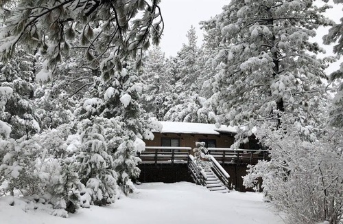 Pine Mountain Club Cabin | Unique private Forest mountain Getaway