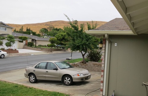 Morrill House | Upscale Single Family Home with Fruit Garden