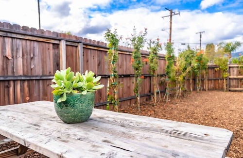 Bonita RV Rental | Urban Glamping Oasis: Comfort & Adventure Combined
