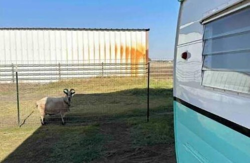 Sanger House | Wagon Wheel Ranch Cowboy Camper.