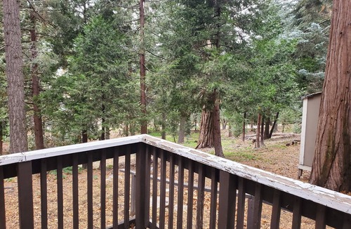Twin Peaks Cabin | Whistling Woods Cabin at The Twin Peaks Lodge