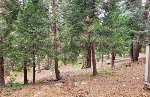 Twin Peaks Cabin | Whistling Woods Cabin at The Twin Peaks Lodge
