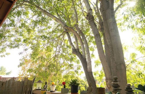Thousand Oaks Apartment | Zen Bungalow w/King Bed, Parking, Pool, Balcony