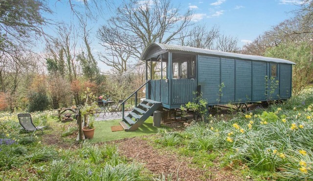 1 Bed in Launceston (oc-91964)