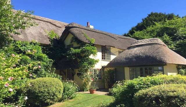 Beck Cottage New Forest