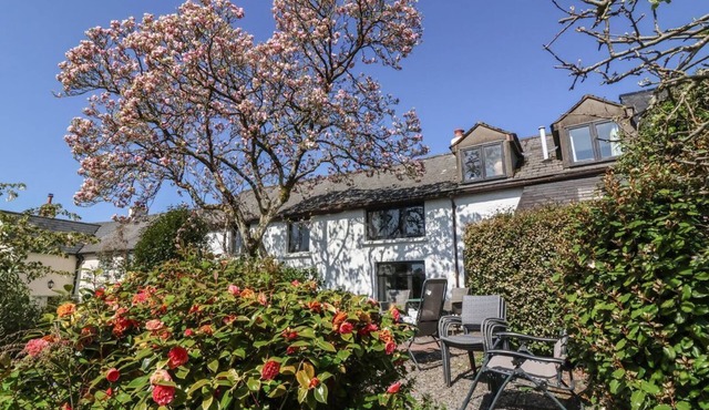 Magnolia View, Barnstaple