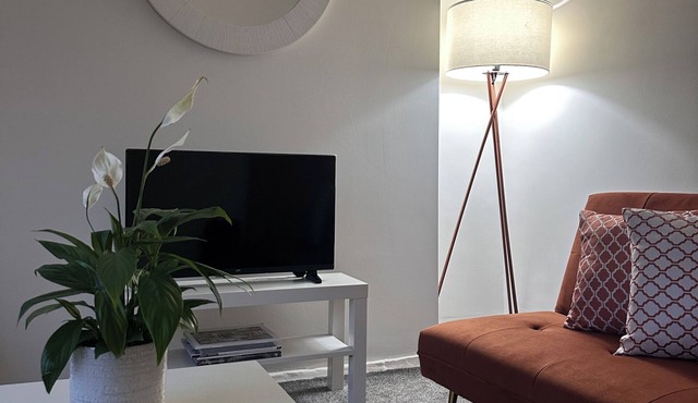 OceanVillageMarina/2bedroom/ModernKitchen/Balcony