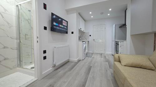 One Bedroom Flat Near CBS Arena