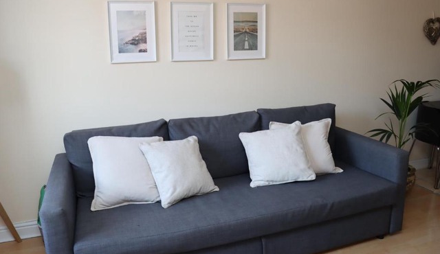 Scandinavian City Centre Apartment