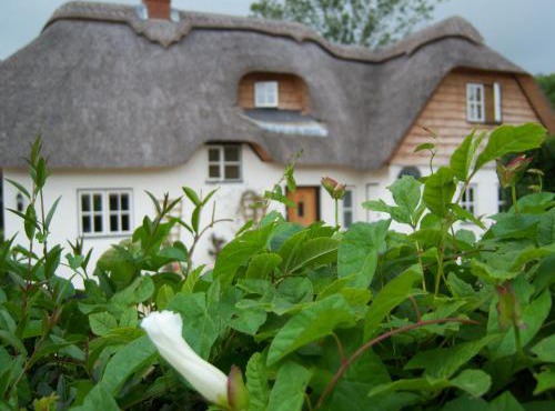 Weir Cottage